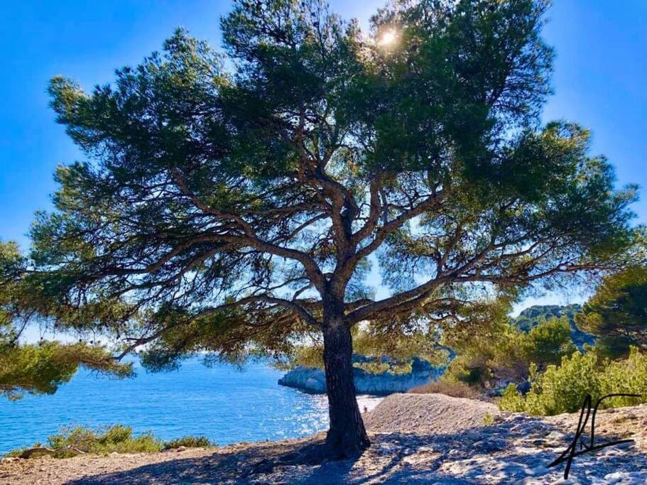Charmant Studio Au Coeur De Cassis Bagian luar foto