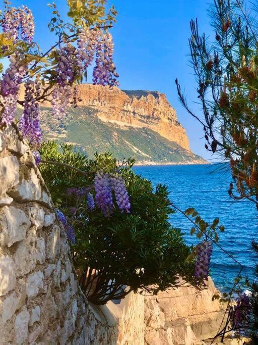 Charmant Studio Au Coeur De Cassis Bagian luar foto